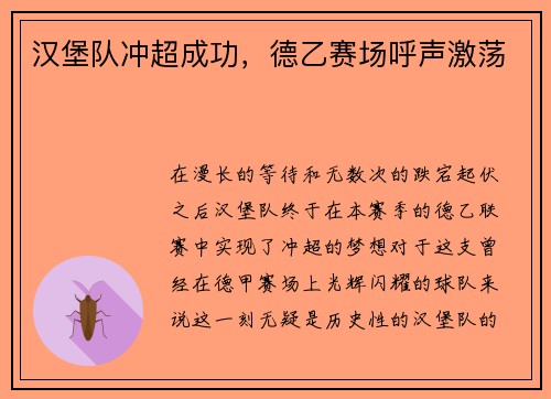 汉堡队冲超成功，德乙赛场呼声激荡